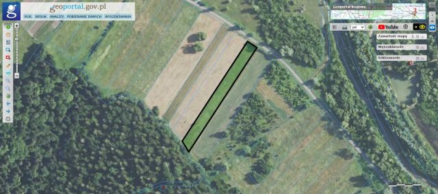 Działka leśna Nowosiółki Dydyńskie. Zdjęcie 1