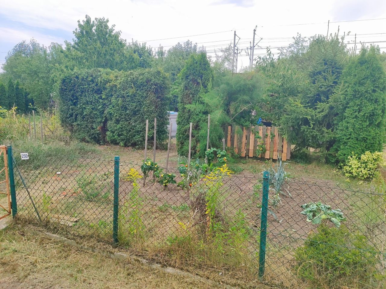 Działka rod Opole Zaodrze, ul. Bolkowska. Zdjęcie 1