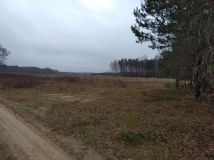 Działka Budy Lucieńskie. Zdjęcie 3