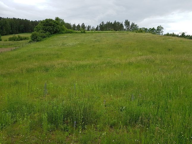 Działka budowlana Oracze. Zdjęcie 3