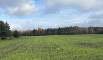 Działka budowlana Wierzbica