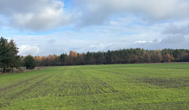 Działka budowlana Wierzbica