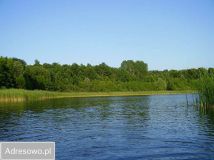 Działka rolno-budowlana Grabowo. Zdjęcie 2