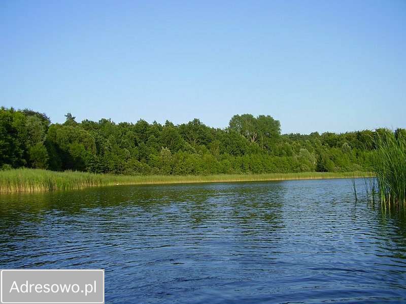Działka rolno-budowlana Grabowo. Zdjęcie 3
