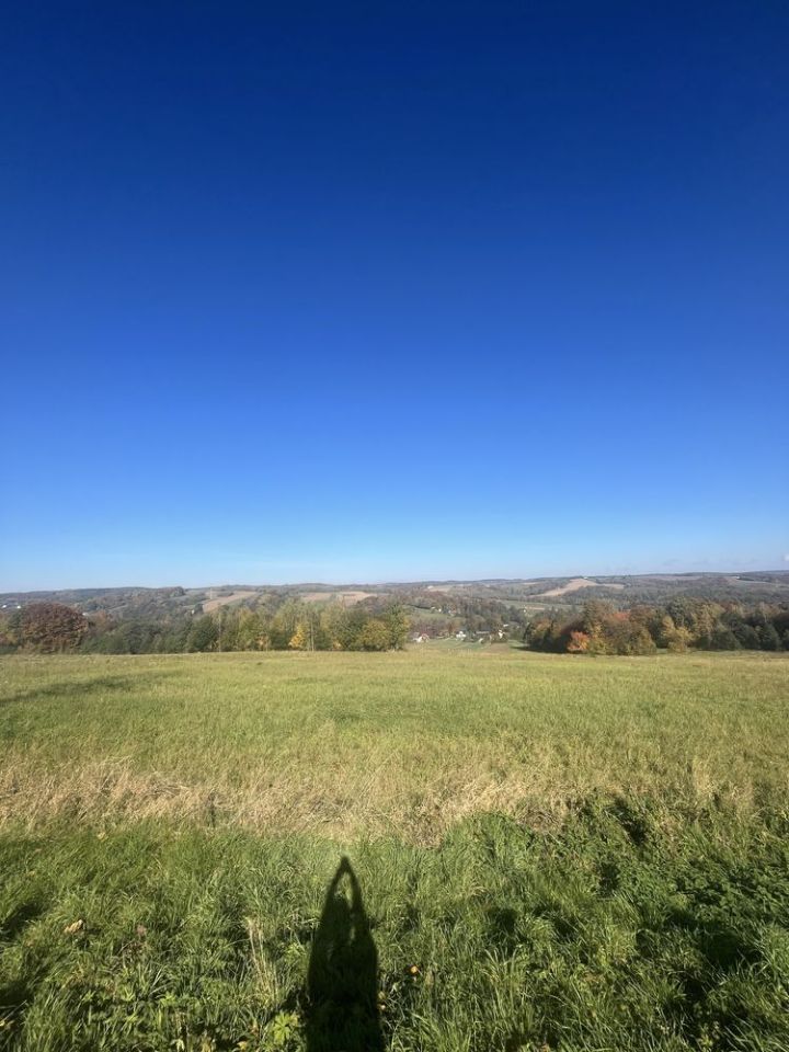 Działka budowlana Dynów, ul. Węgierska. Zdjęcie 3