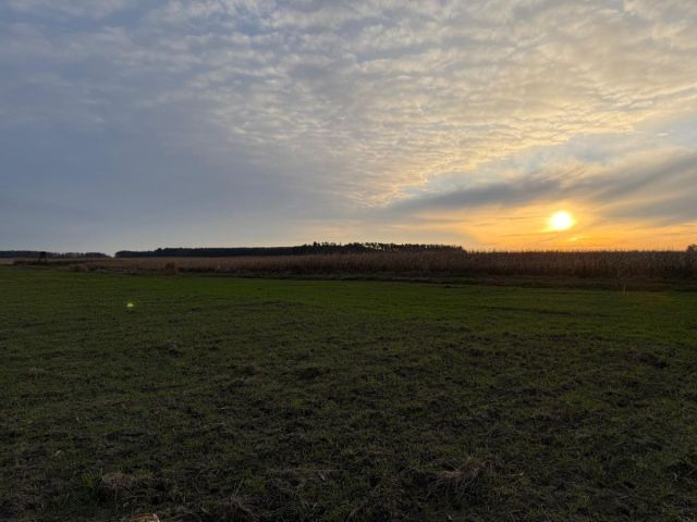 Działka rolna Oleśniczka. Zdjęcie 4