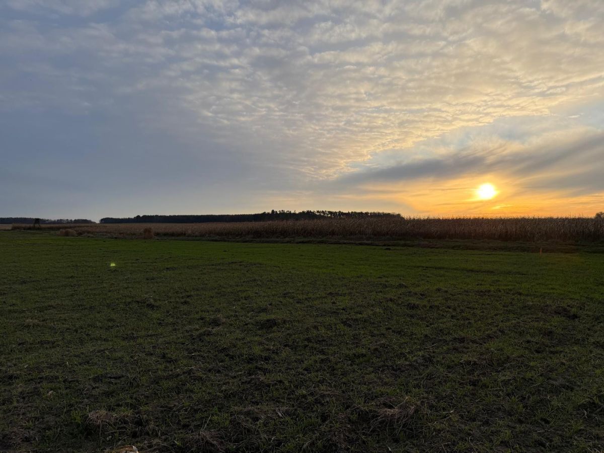 Działka rolna Oleśniczka. Zdjęcie 4