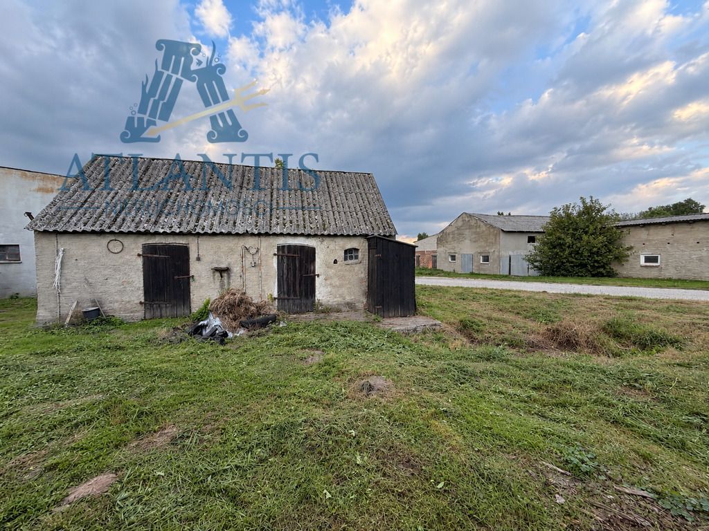 Zdjęcie 7
