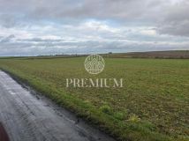 Działka siedliskowa Gogolinek. Zdjęcie 1