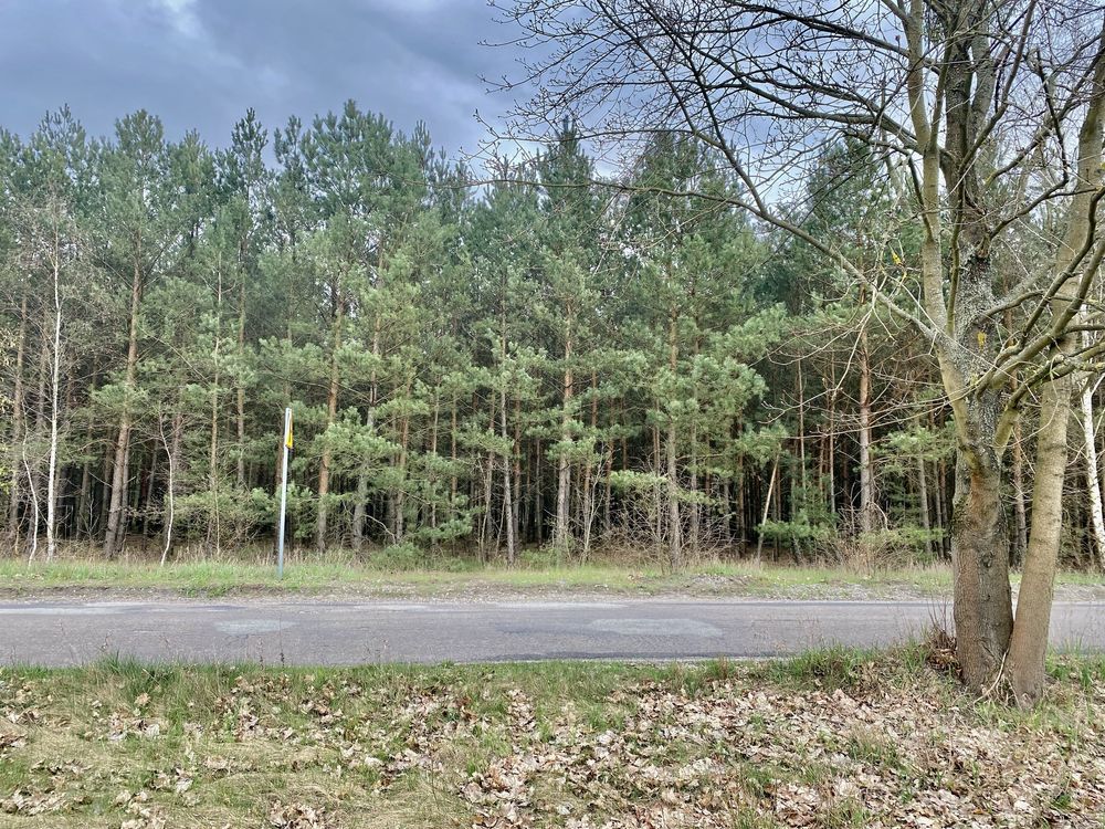 Działka budowlana Czarne Błoto, ul. Turystyczna. Zdjęcie 3