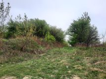 Działka rolno-budowlana Sandomierz, ul. Łukawska. Zdjęcie 1