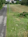 Działka budowlana Piwoda. Zdjęcie 3