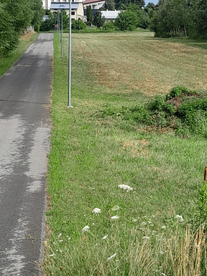 Działka budowlana Piwoda. Zdjęcie 4