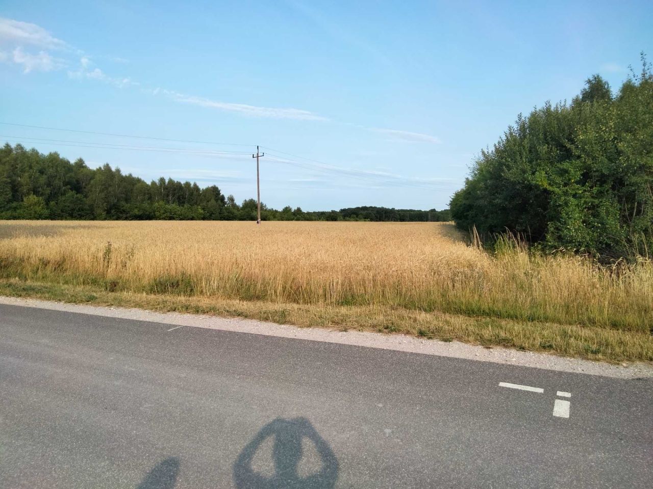 Działka budowlana Pabianice, ul. Podmiejska. Zdjęcie 2