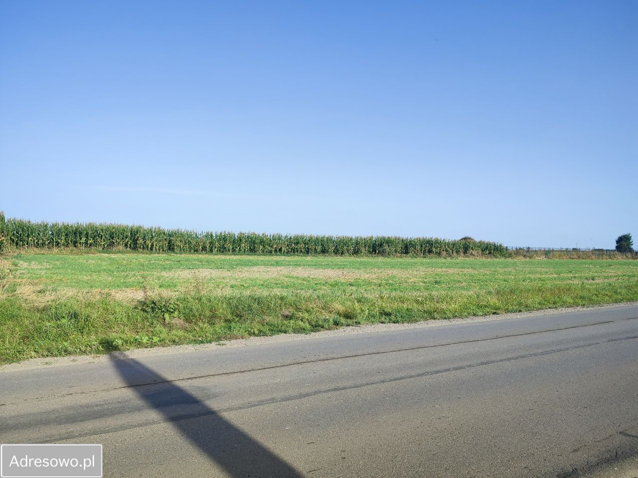 Działka budowlana Bełżyce, ul. Przemysłowa. Zdjęcie 2