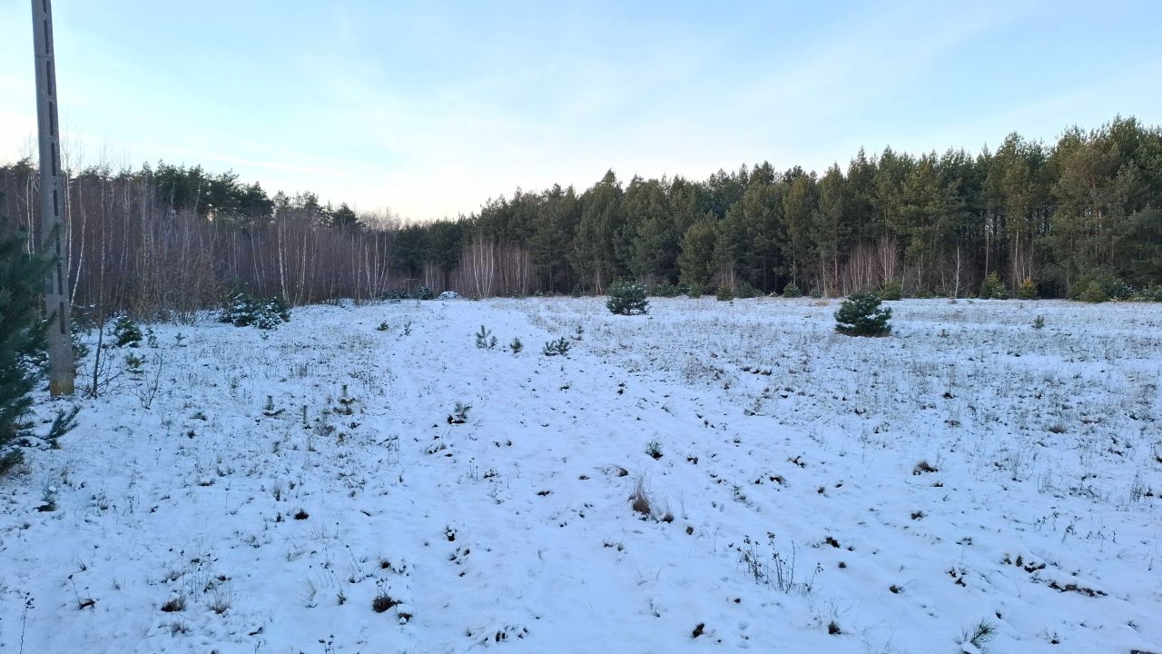 Działka rolna Cegielnia Psucka. Zdjęcie 4