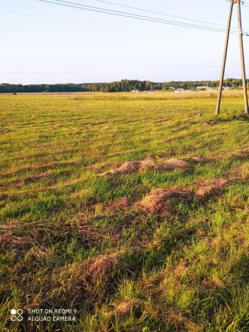 Działka rolno-budowlana Występy. Zdjęcie 1