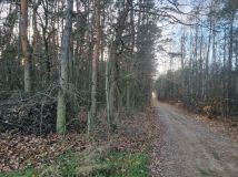 Działka leśna Omięciny. Zdjęcie 4