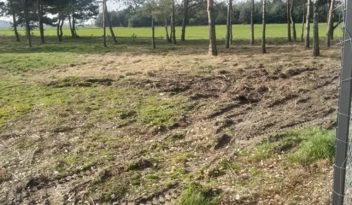 Działka budowlana Budy Trzcińskie