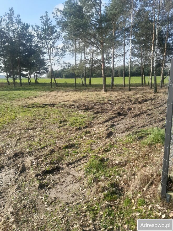 Działka budowlana Budy Trzcińskie. Zdjęcie 1