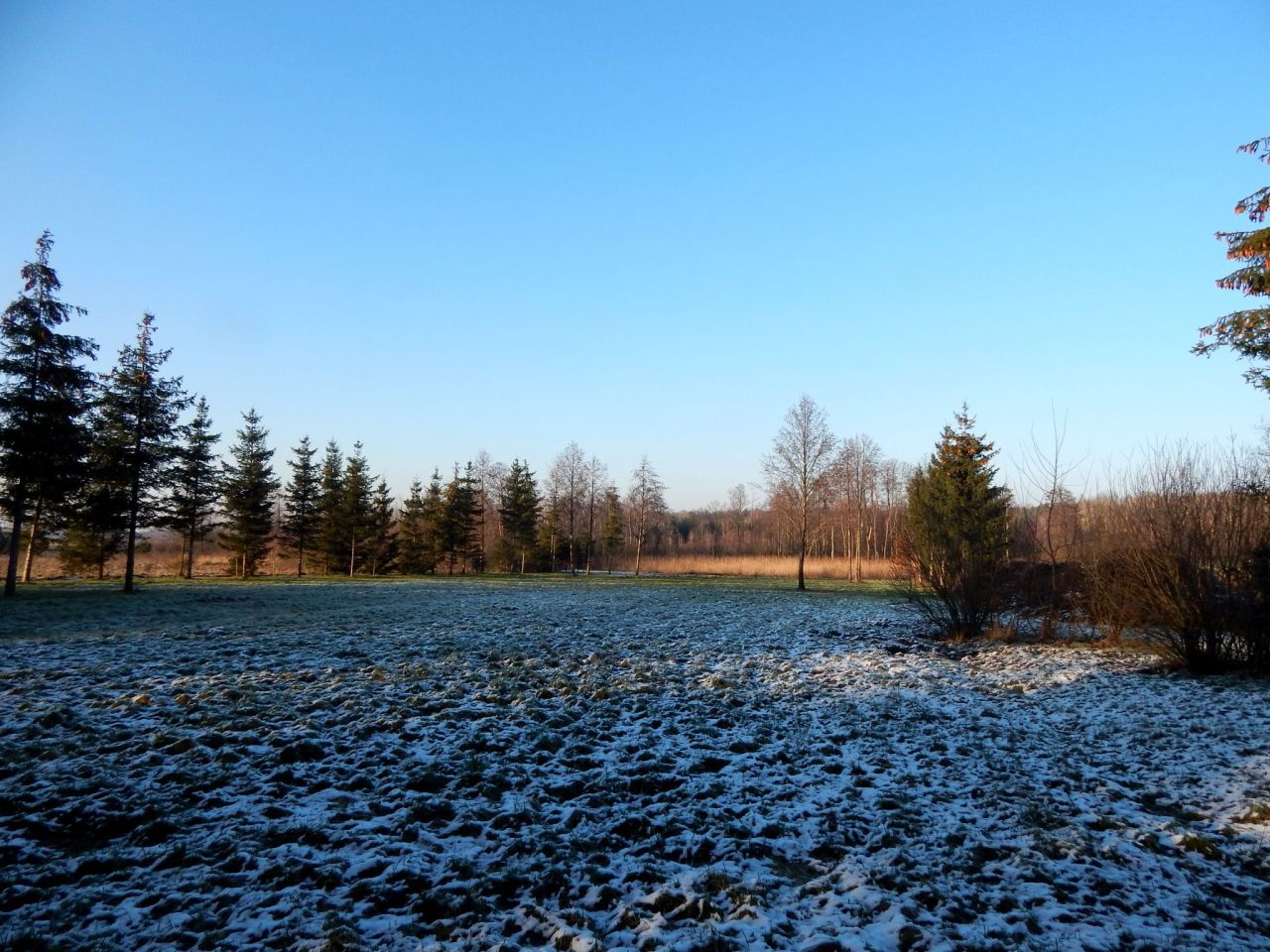 Działka siedliskowa Grzegorzewice, ul. Pałacowa. Zdjęcie 15