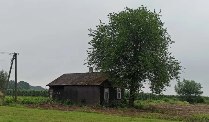 Działka siedliskowa Celejów
