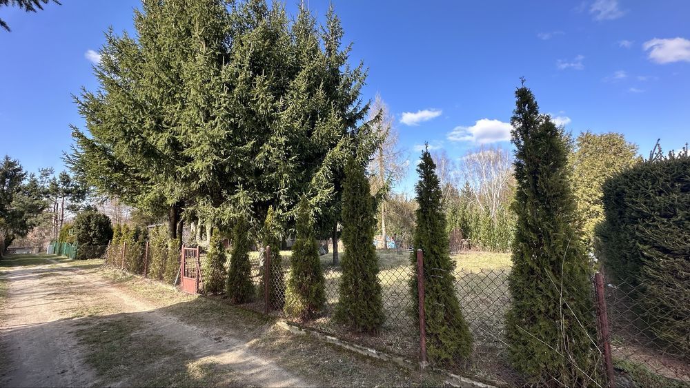 Działka rod Sochaczew. Zdjęcie 3