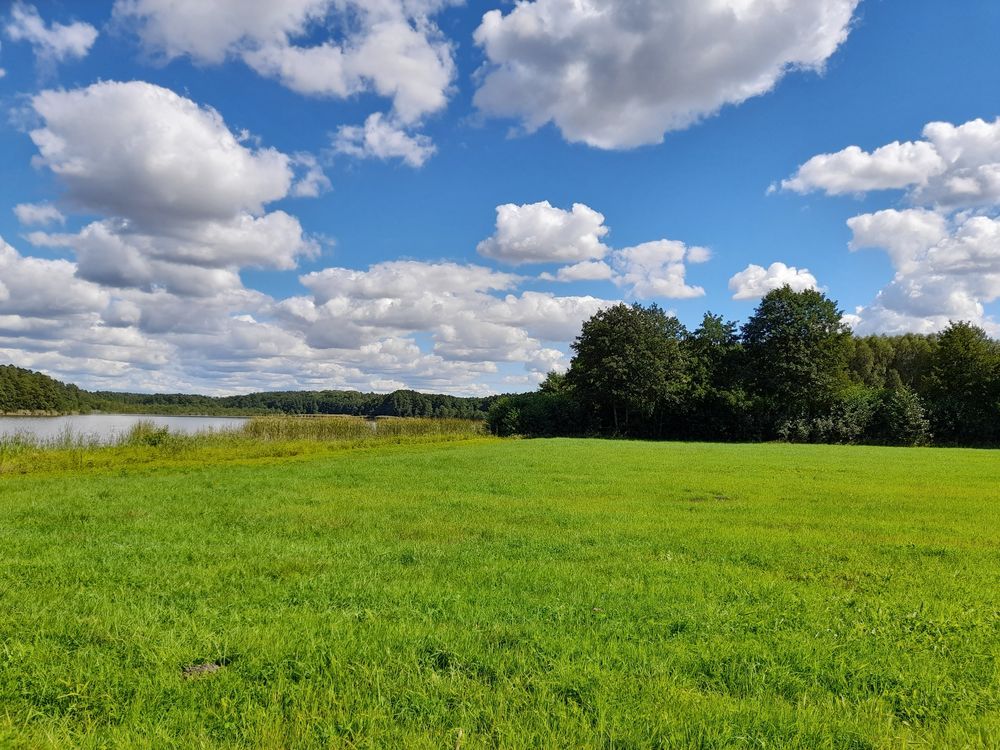 Działka budowlana Kruteczek. Zdjęcie 2