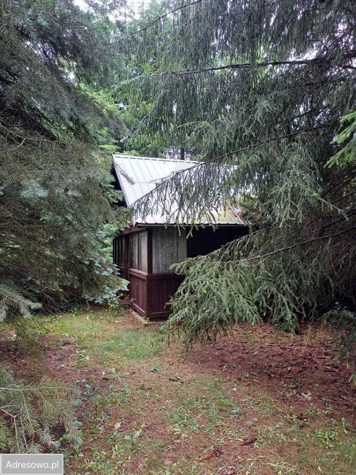 Działka rekreacyjna Arciechów