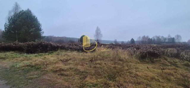 Działka budowlana Grzybowce. Zdjęcie 3