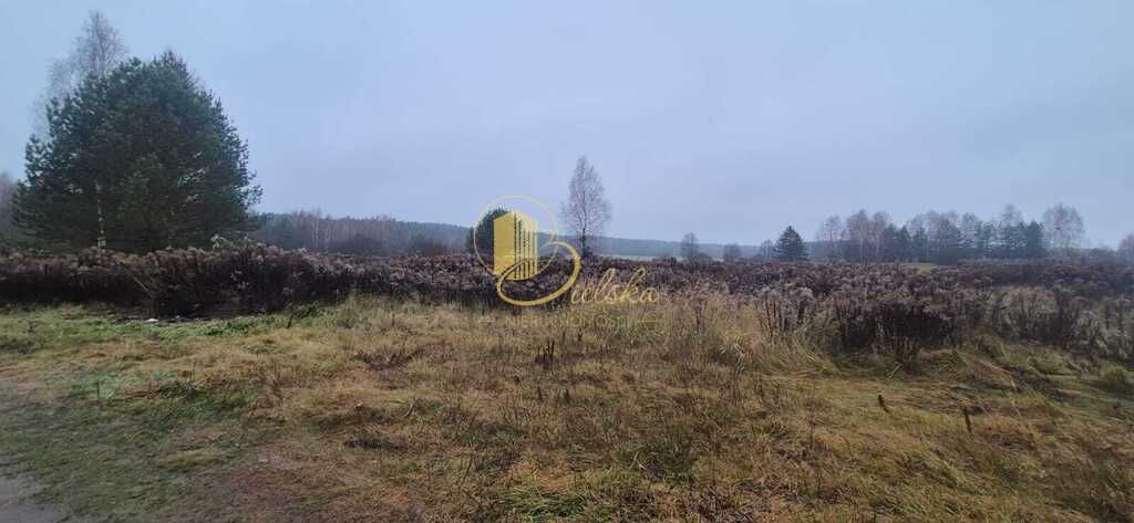 Działka budowlana Grzybowce. Zdjęcie 3