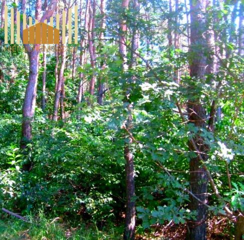 Działka budowlana Sulejówek Szkopówka. Zdjęcie 1