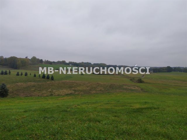 Działka rolna Sorkwity. Zdjęcie 12