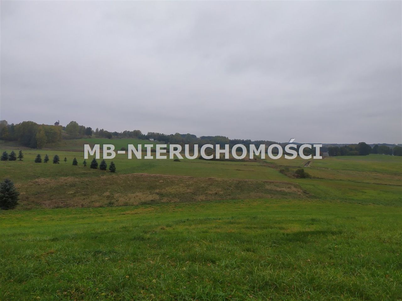 Działka rolna Sorkwity. Zdjęcie 12