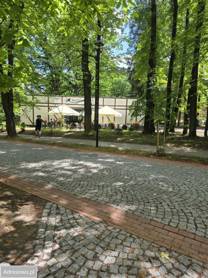 Mieszkanie 1-pokojowe Szczawno-Zdrój, al. Spacerowa. Zdjęcie 17