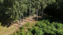 Działka rolno-budowlana Tarnów Krzyż, ul. Wilcza. Zdjęcie 4