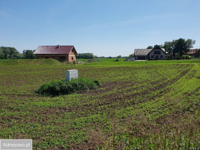 Działka rolno-budowlana Szukalice. Zdjęcie 1