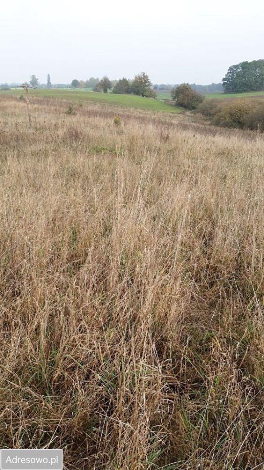 Działka rolno-budowlana Jania Góra. Zdjęcie 3