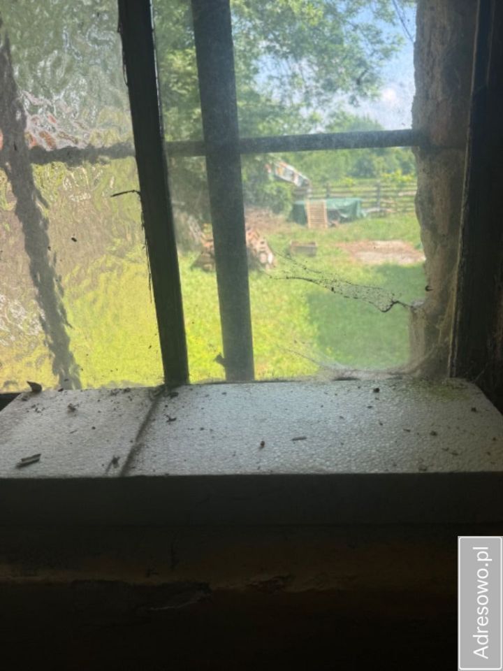 Lokal Żórawina, al. Niepodległości. Zdjęcie 8