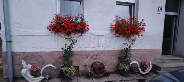 Mieszkanie 2-pokojowe Stare Pole, ul. Henryka Sienkiewicza. Zdjęcie 1