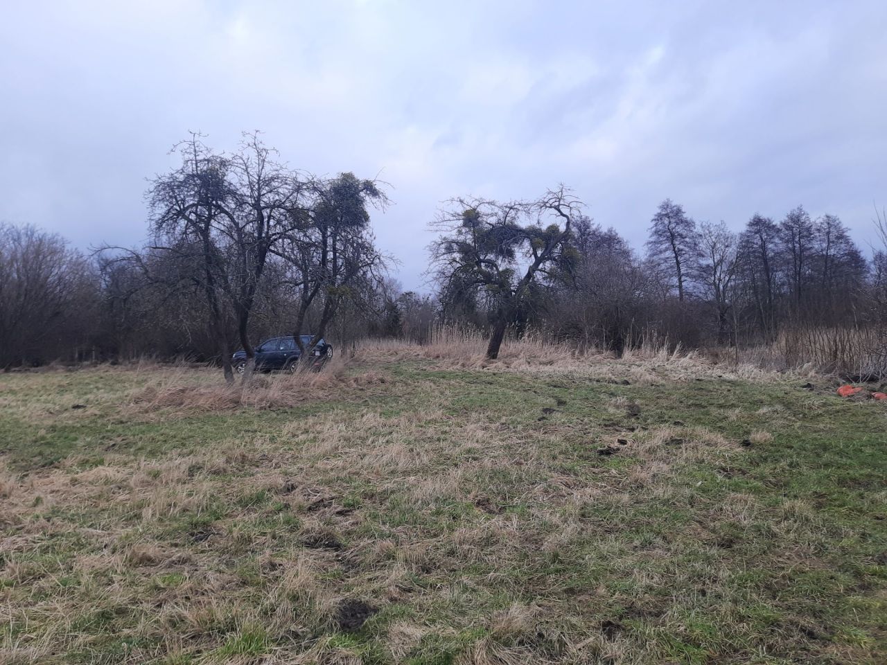 Działka rolno-budowlana Choszczno, ul. Wojska Polskiego. Zdjęcie 6