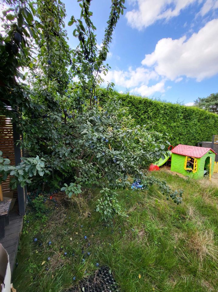 Działka rod Kulów. Zdjęcie 6