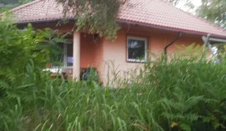 dom wolnostojący, 6 pokoi Skorzewo, W