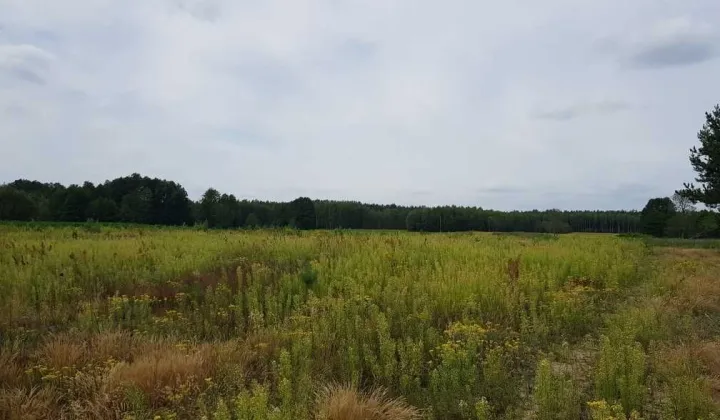 Działka rolna Białki