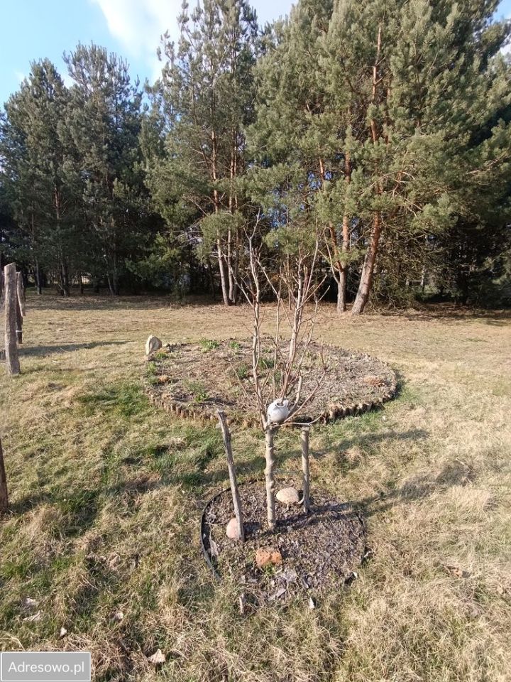 Działka budowlana Gronów. Zdjęcie 4