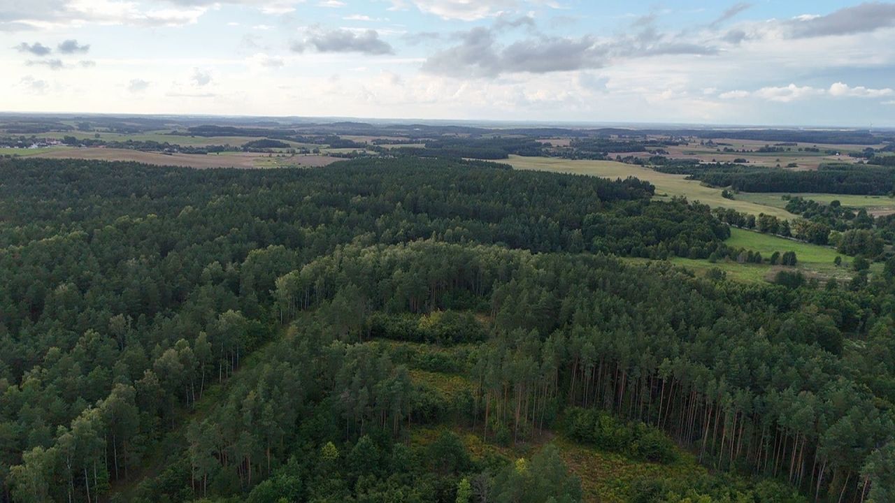 Działka budowlana Kłębowo. Zdjęcie 5