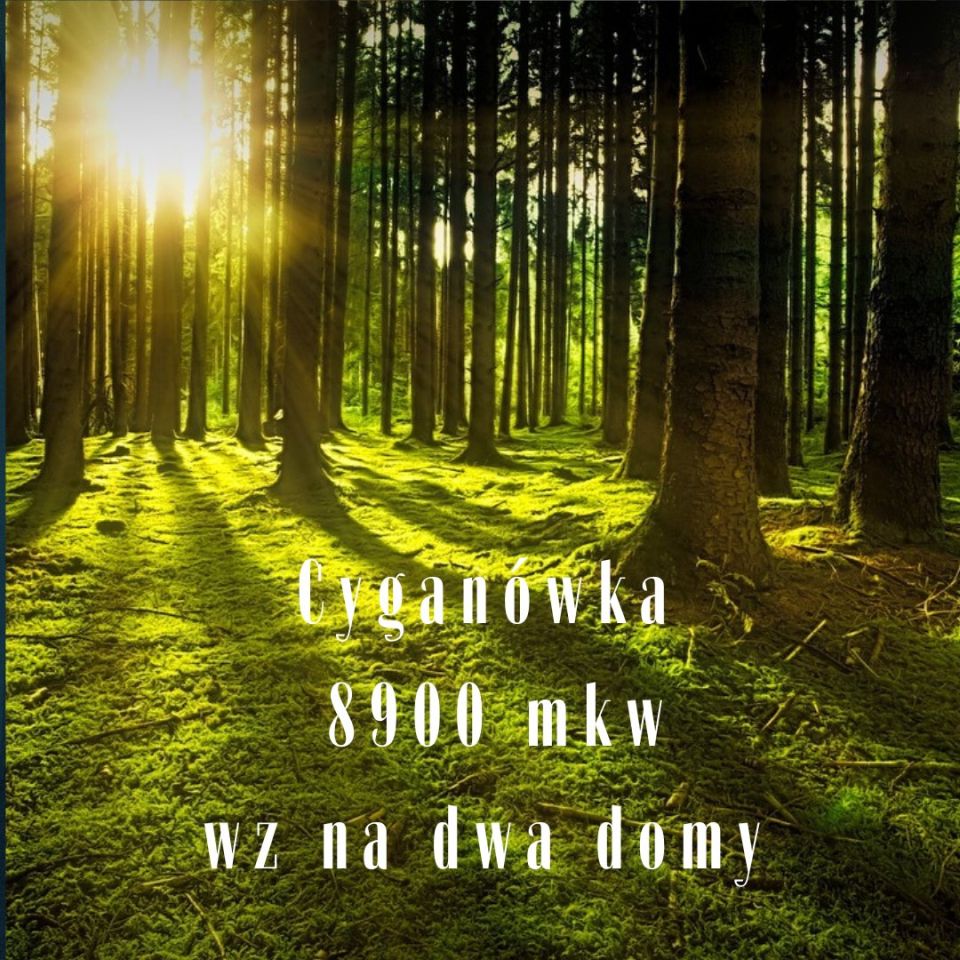 Działka leśna Cyganówka. Zdjęcie 1