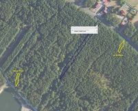 Działka leśna Pysznica, ul. Podlesie. Zdjęcie 2