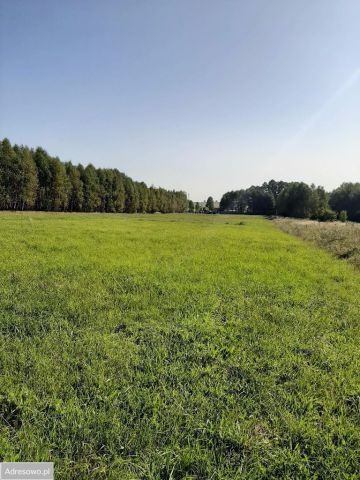 Działka rolno-budowlana Rzeniszów-Łazy. Zdjęcie 1
