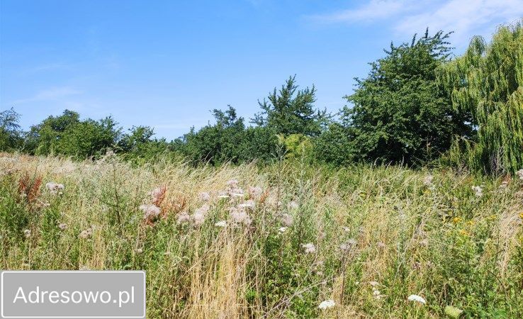 Działka budowlana Dobromierz, ul. Zielona. Zdjęcie 7
